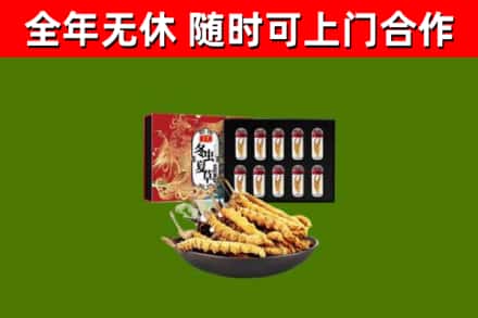 安宁市回收冬虫夏草价格